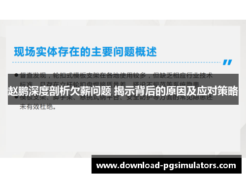 赵鹏深度剖析欠薪问题 揭示背后的原因及应对策略