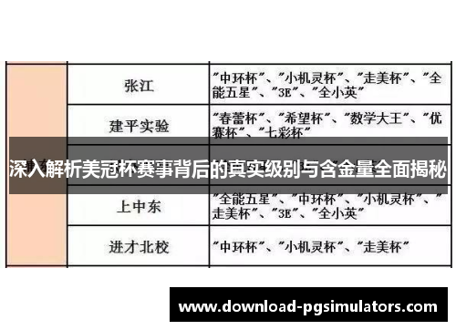 深入解析美冠杯赛事背后的真实级别与含金量全面揭秘